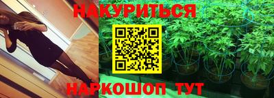 прущие грибы Краснодар