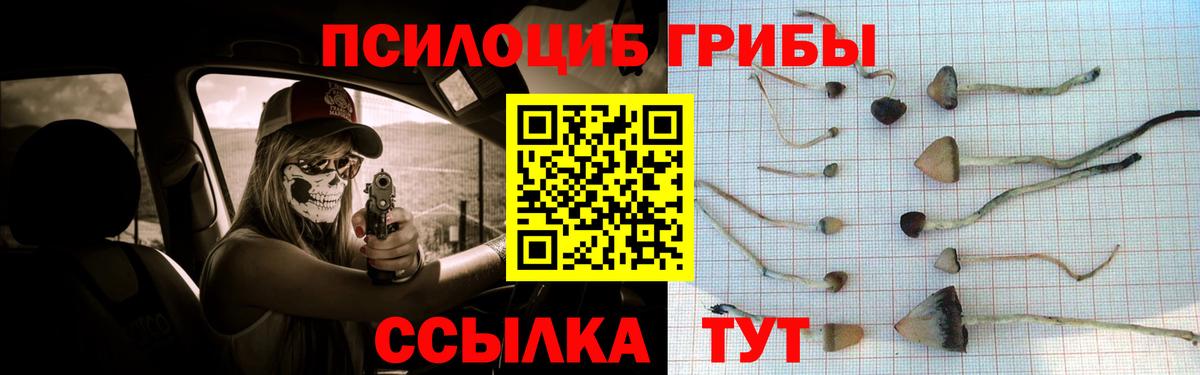 Галлюциногенные грибы Psilocybine cubensis Котельники