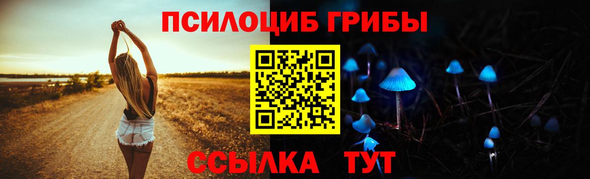 хочу   Вход с VPN  Котельники  Галлюциногенные грибы MAGIC MUSHROOMS 